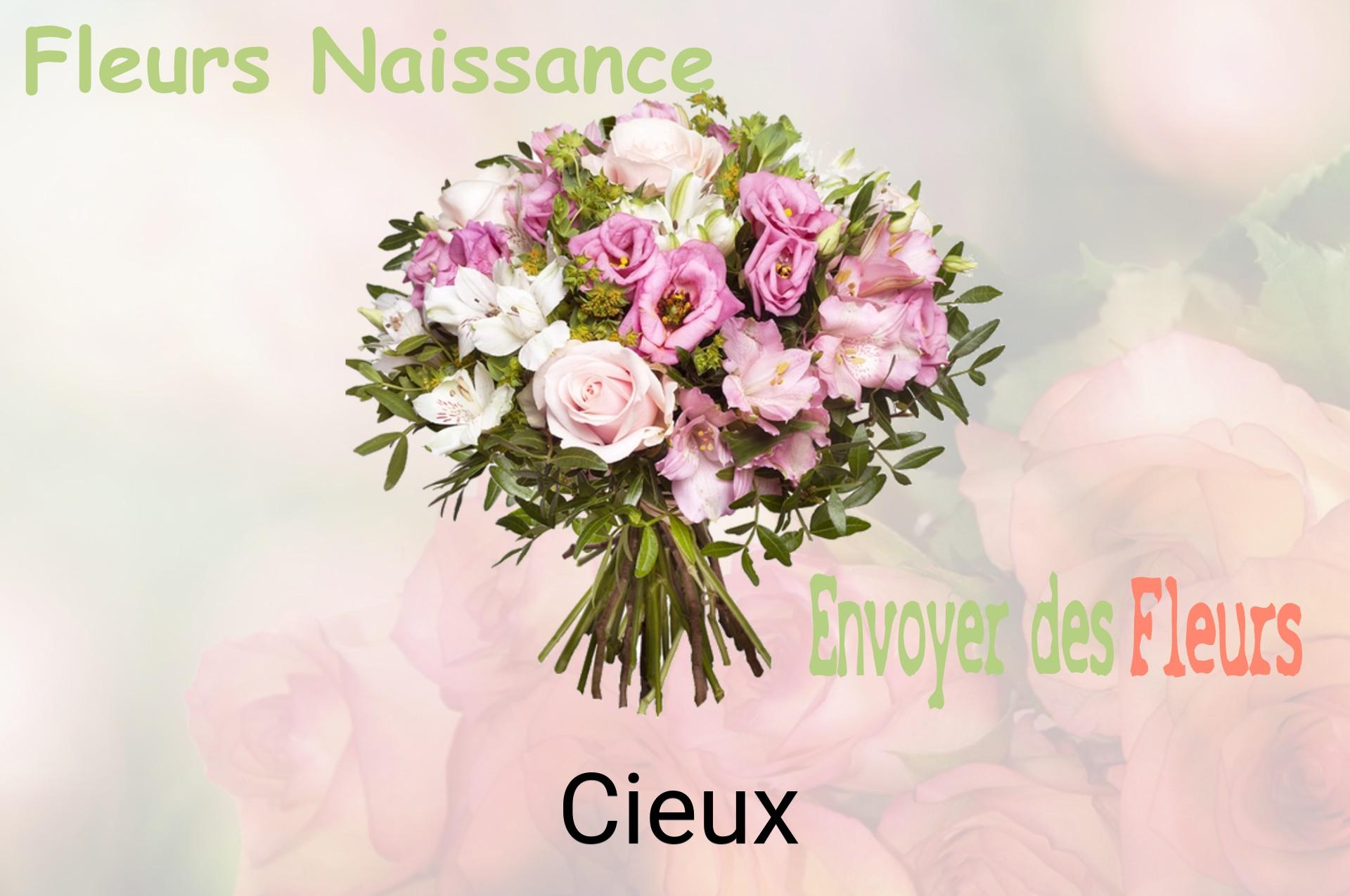 Bouquet de fleurs de naissance livré à Cieux