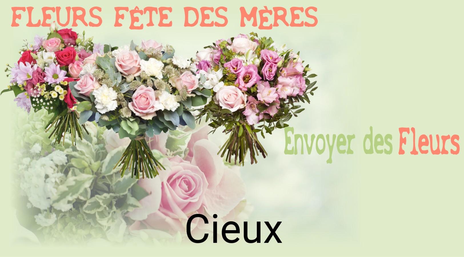 Bouquet de Fête des Mères livré à Cieux